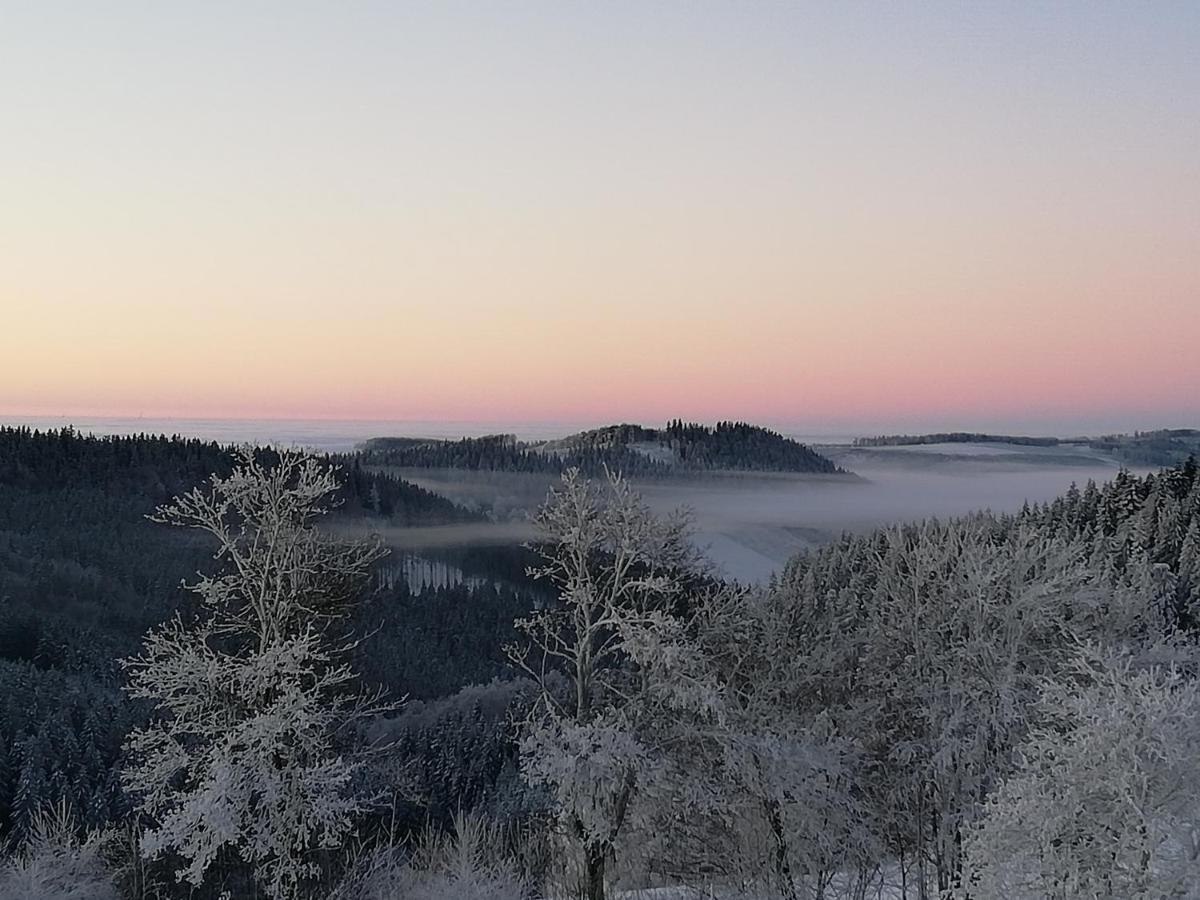 Ferienwohnung Astenrefugio Winterberg Zewnętrze zdjęcie